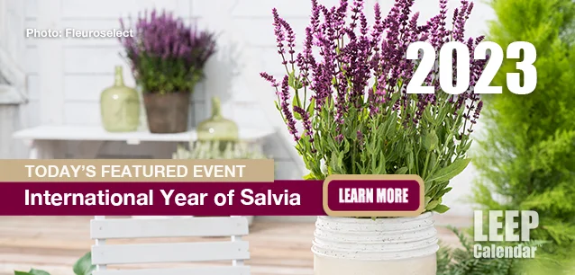 No image found 2023 Year of SalviaF.webp